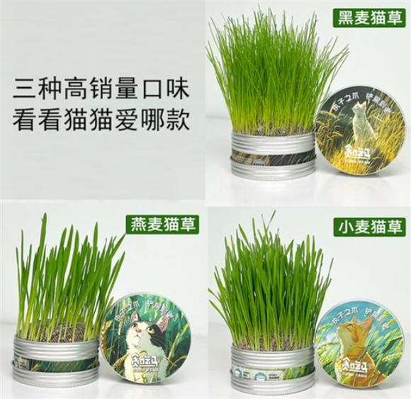 贪吃马猫草的作用是催吐还是化毛 贪吃马猫草的作用是催吐还是化毛