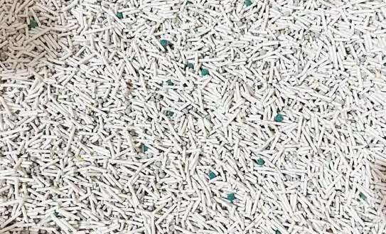 小猫日记宠物用品种类繁多，快看看