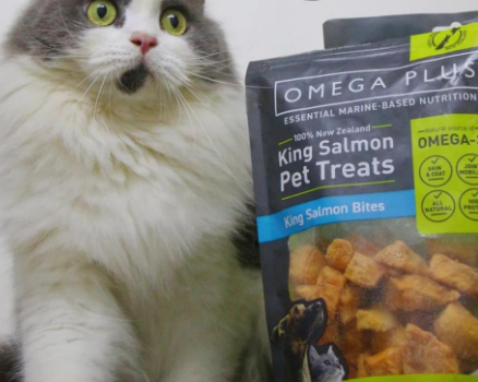 猫猫最爱!Omega Plus奥鲑冠冻干零食你听说过吗? 猫猫最爱!Omega Plus奥鲑冠冻干零食你听说过吗?