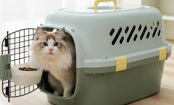 波奇多宠物航空箱能拖运吗