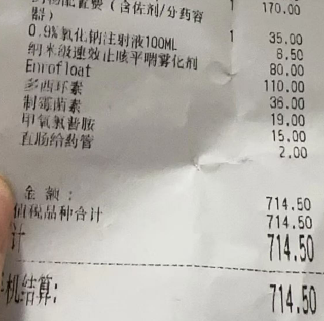 鹦鹉在诊疗中不幸死亡,宠主人要求赔偿遭拒 鹦鹉在诊疗中不幸死亡,宠主人要求赔偿遭拒