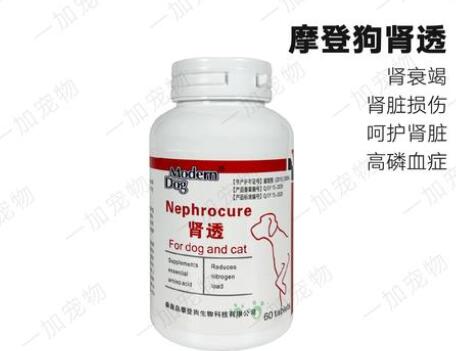 摩登狗肾透片吃多久有用 摩登狗肾透片吃多久有用