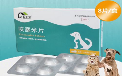 宅小宠