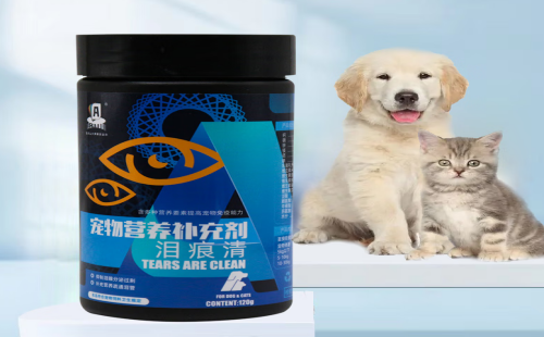 宠彤心