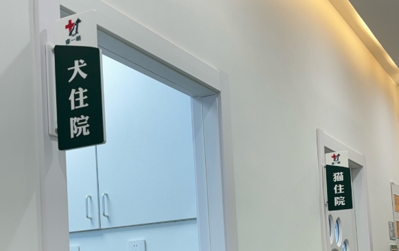 贝乐康宠物医院安全吗