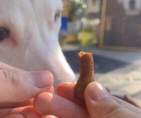 狗磨牙棒食品和玩具的区别