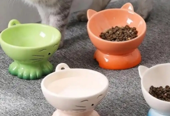 赤兔马猫碗什么颜色好