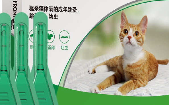 财咪驱虫药是不是很坑人
