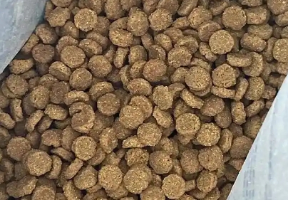 醇畅猫粮是正规品牌吗