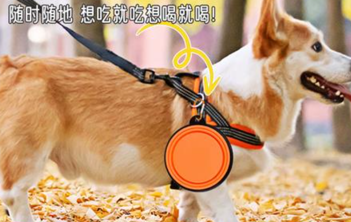 牧灵宠物用品在哪里买 牧灵宠物用品在哪里买
