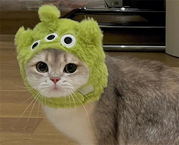 猫咪头套可以制作吗