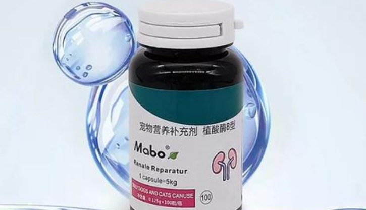 宠物健康小秘密 马博植酸酶让毛孩子更活力