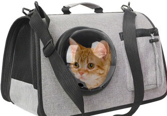 猫放在贝尼宠猫包里会叫吗