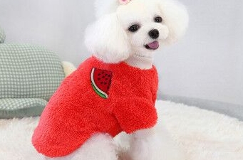 slpc宠物衣服贵吗 slpc宠物衣服贵吗