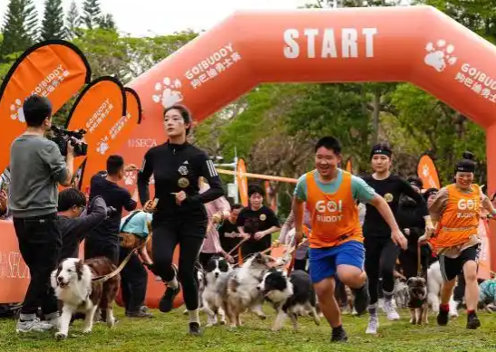 狗巴迪勇士赛深圳开锣，超300组人犬勇士参赛