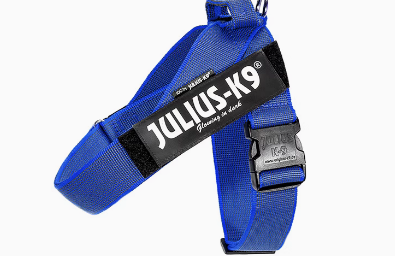 julius k9怎么样 julius k9怎么样