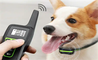 狗狗止吠器有用吗