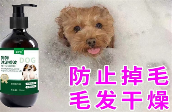 草之萃狗狗沐浴露靠谱吗