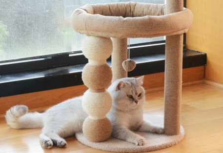 珑小宠猫爬架,猫咪理性玩乐空间 珑小宠猫爬架,猫咪理性玩乐空间