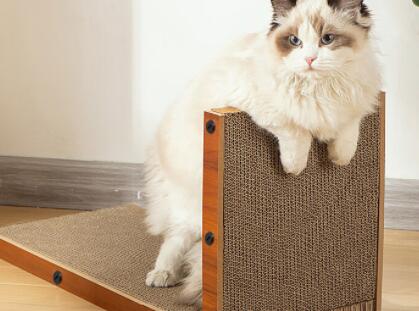 派乐特猫抓板怎么样 派乐特猫抓板怎么样