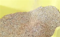 猫砂盆放多少猫砂合适