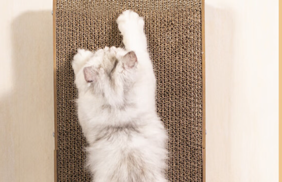 萌嘟星宠猫抓板怎么样