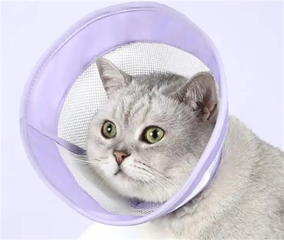 猫咪头套价格