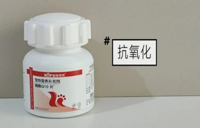 宠物辅酶q10用量多少