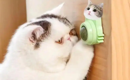 饰宠喵猫薄荷球好不好