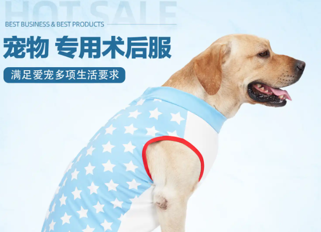 优宠君狗狗绝育服，速来了解