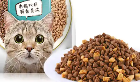 talentail猫粮口碑好不好