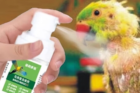 依丽多利鸟用驱虫喷雾效果好吗 依丽多利鸟用驱虫喷雾效果好吗