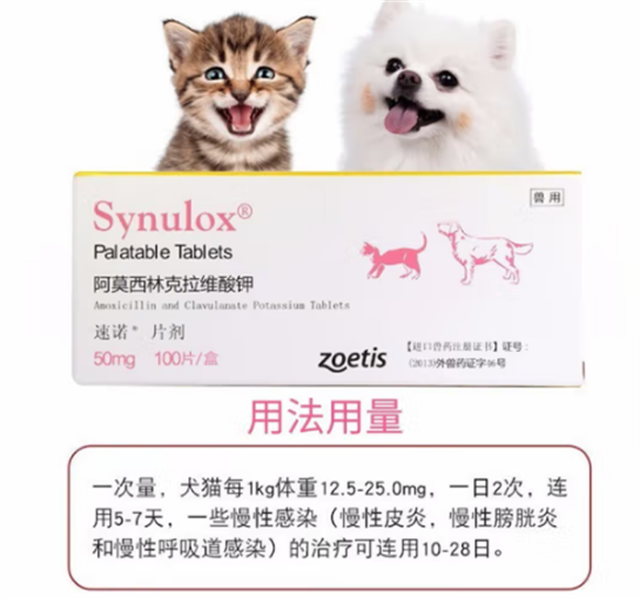 辉瑞宠物疫苗怎么样 辉瑞宠物疫苗怎么样