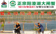 蟹大伯怎么样