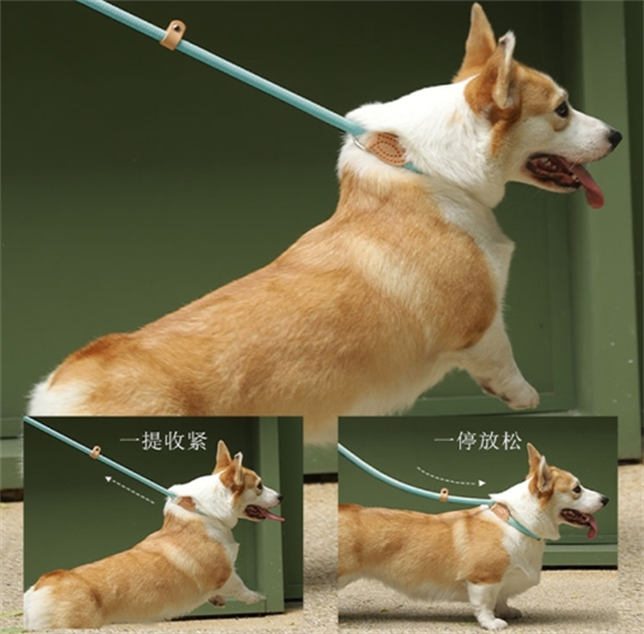 puppytie牵引绳多少钱