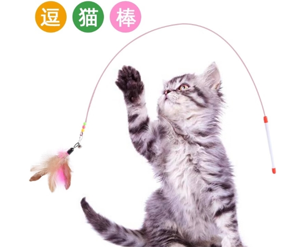 米囹宠物属于什么档次