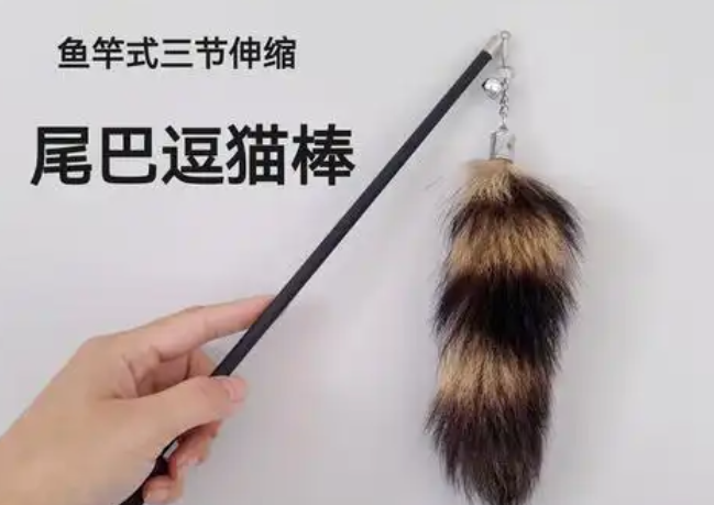 小猫日记宠物用品的介绍,速来了解 小猫日记宠物用品的介绍,速来了解