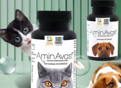 AMINAVAST——为爱宠肾脏健康保驾护航 AMINAVAST——为爱宠肾脏健康保驾护航