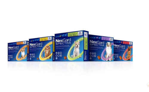 NEXGARD