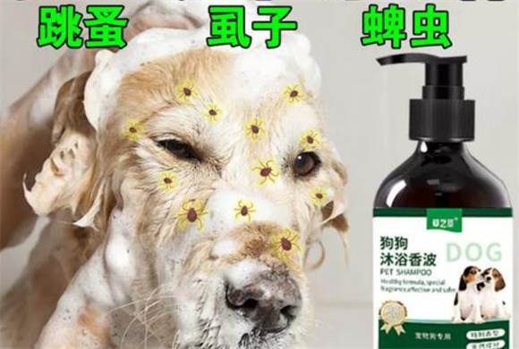 草之萃狗狗沐浴露怎么样