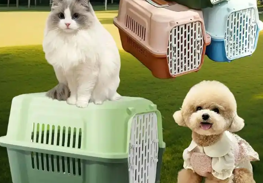 宠物航空包托运怎么办理