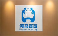 河马苗苗是正规的吗