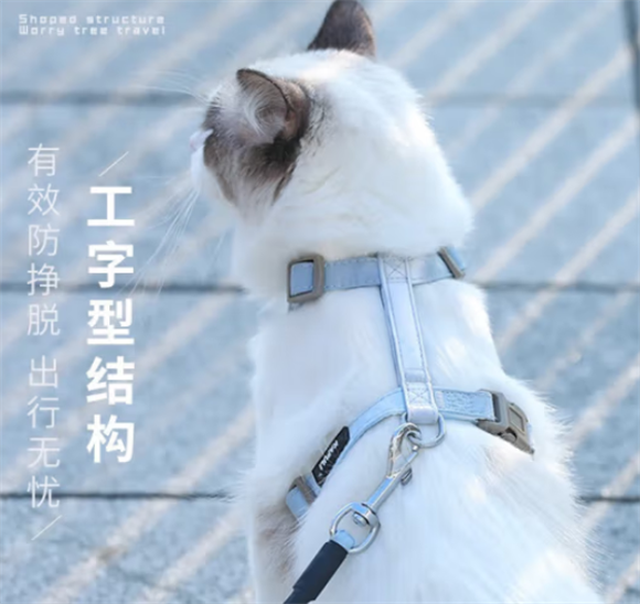 五尾一角牵引绳用脖子的还是用背心式的 五尾一角牵引绳用脖子的还是用背心式的