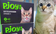 Petio怎么样