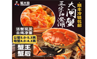 蟹大伯是哪里的螃蟹