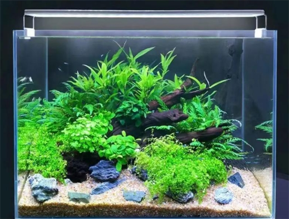 鱼缸照明灯具及价格