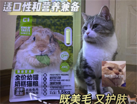 珍味之王猫粮是品牌吗