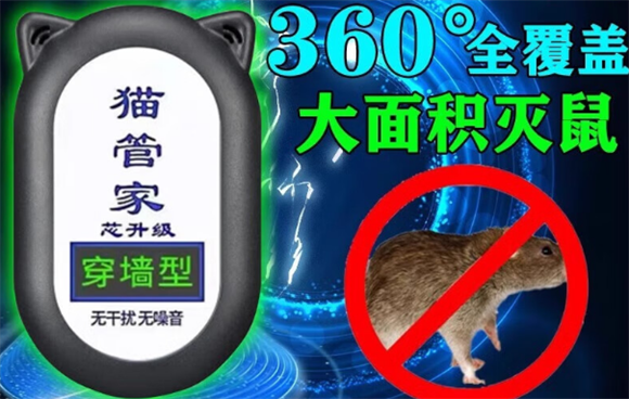 猫管家是干嘛的