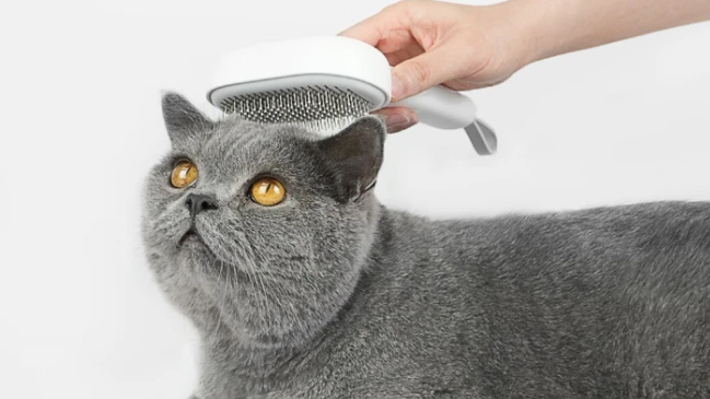 aumuca猫梳子好不好 aumuca猫梳子好不好