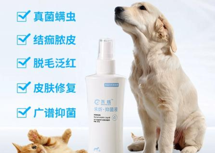 get禾烁抑菌液,告别宠物皮肤病 get禾烁抑菌液,告别宠物皮肤病